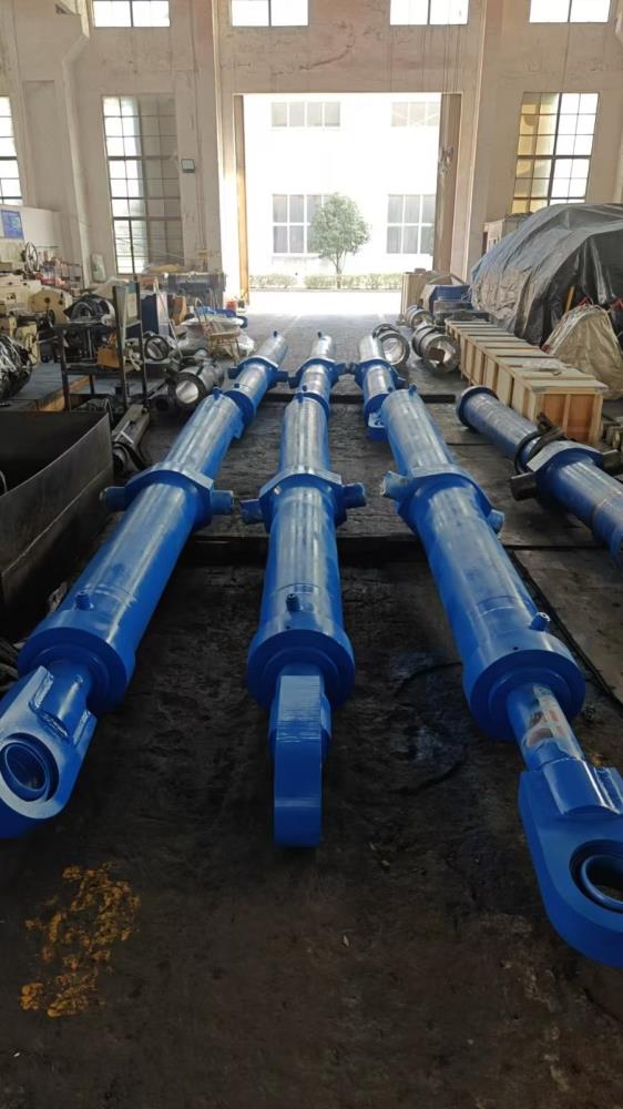 Hoist cylinder assembly